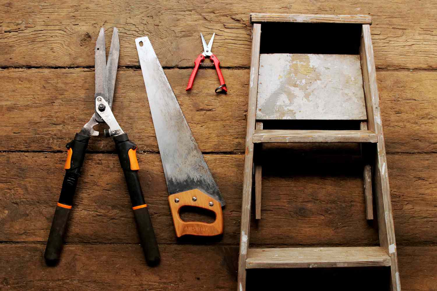 Materiais e ferramentas para podar arbustos de lilases em uma superfície de madeira