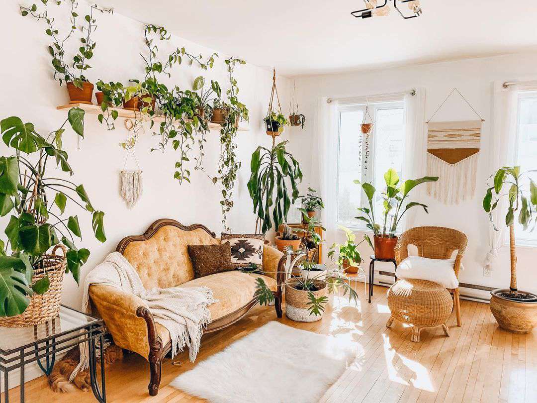 Boho-Chic-Wohnzimmer mit vielen Pflanzen