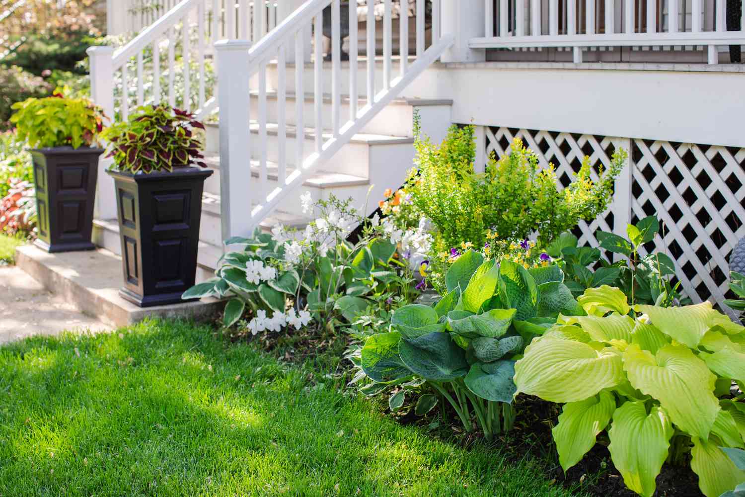 Hosta-Pflanzen und Blumengarten auf der Veranda neben der Treppe