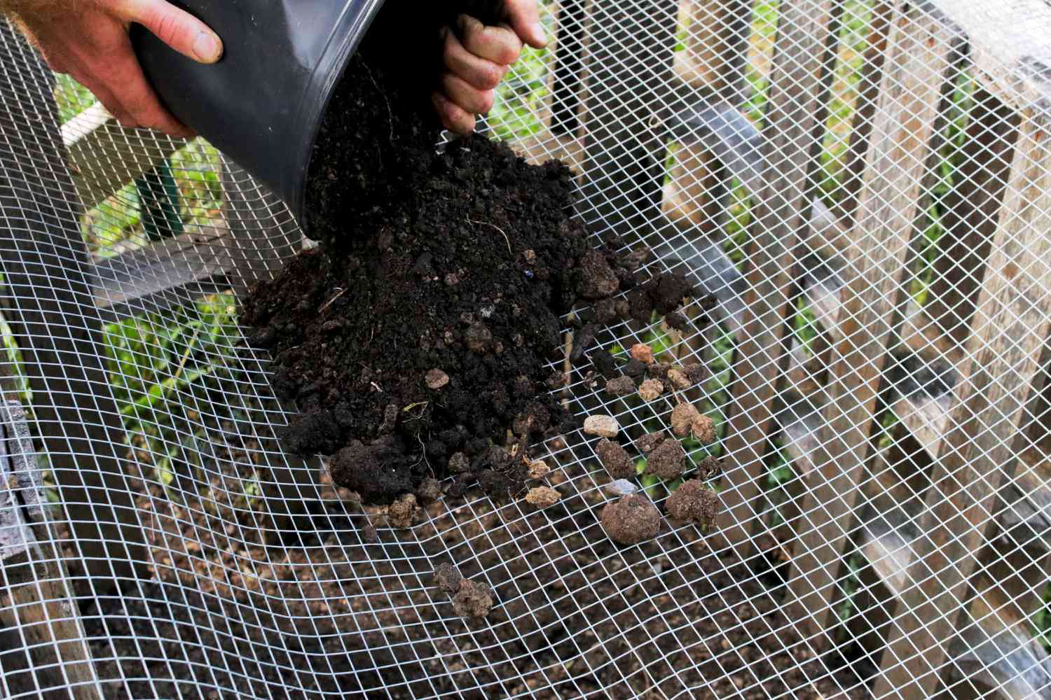 Compost vertido en un tamiz metálico para tamizar y cosechar compost listo 