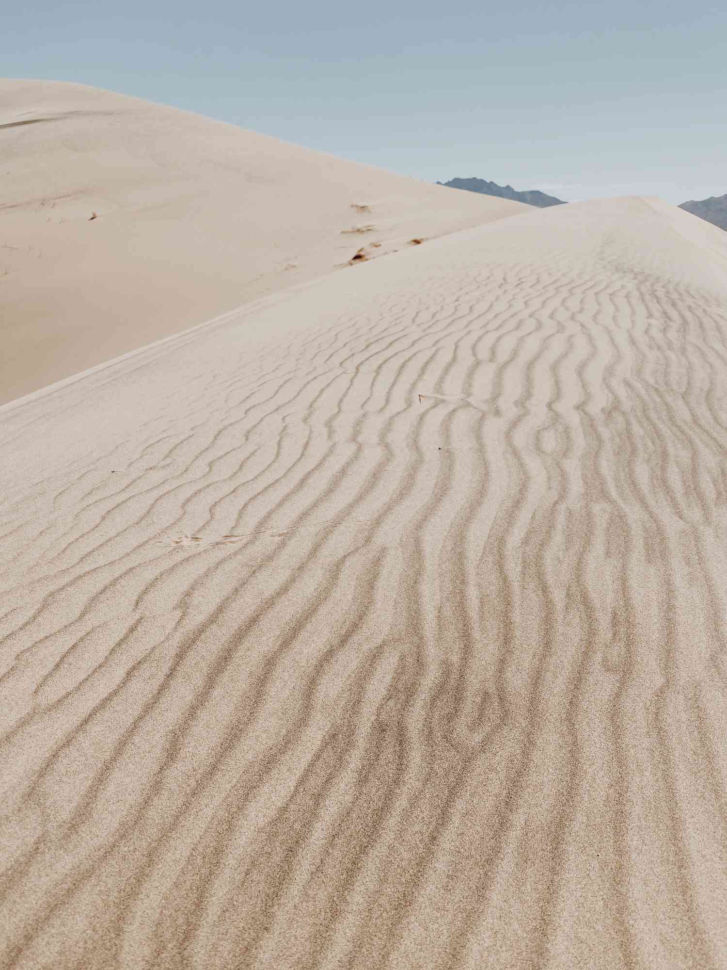 El desierto del Parque Nacional de Joshua Tree