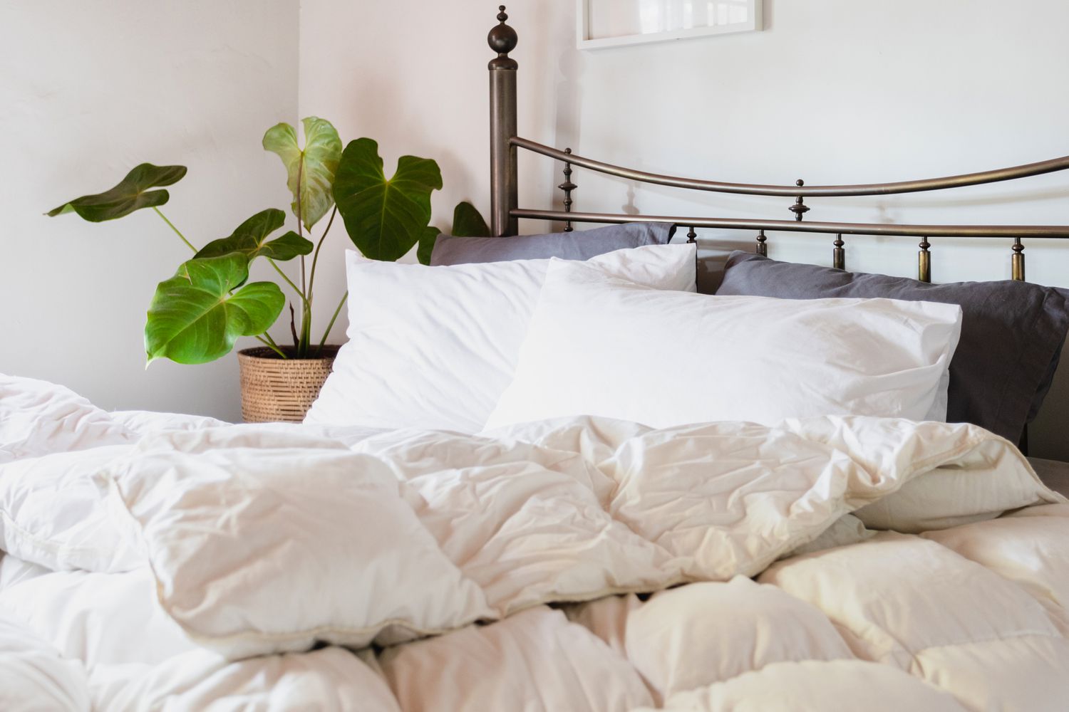 Edredom de plumas brancas na cama com vaso de planta no canto 