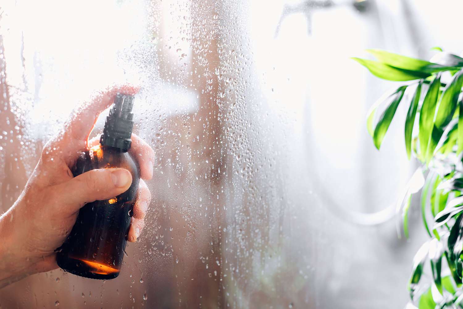 Solução de limpeza borrifada na porta de vidro do chuveiro para evitar o crescimento de mofo