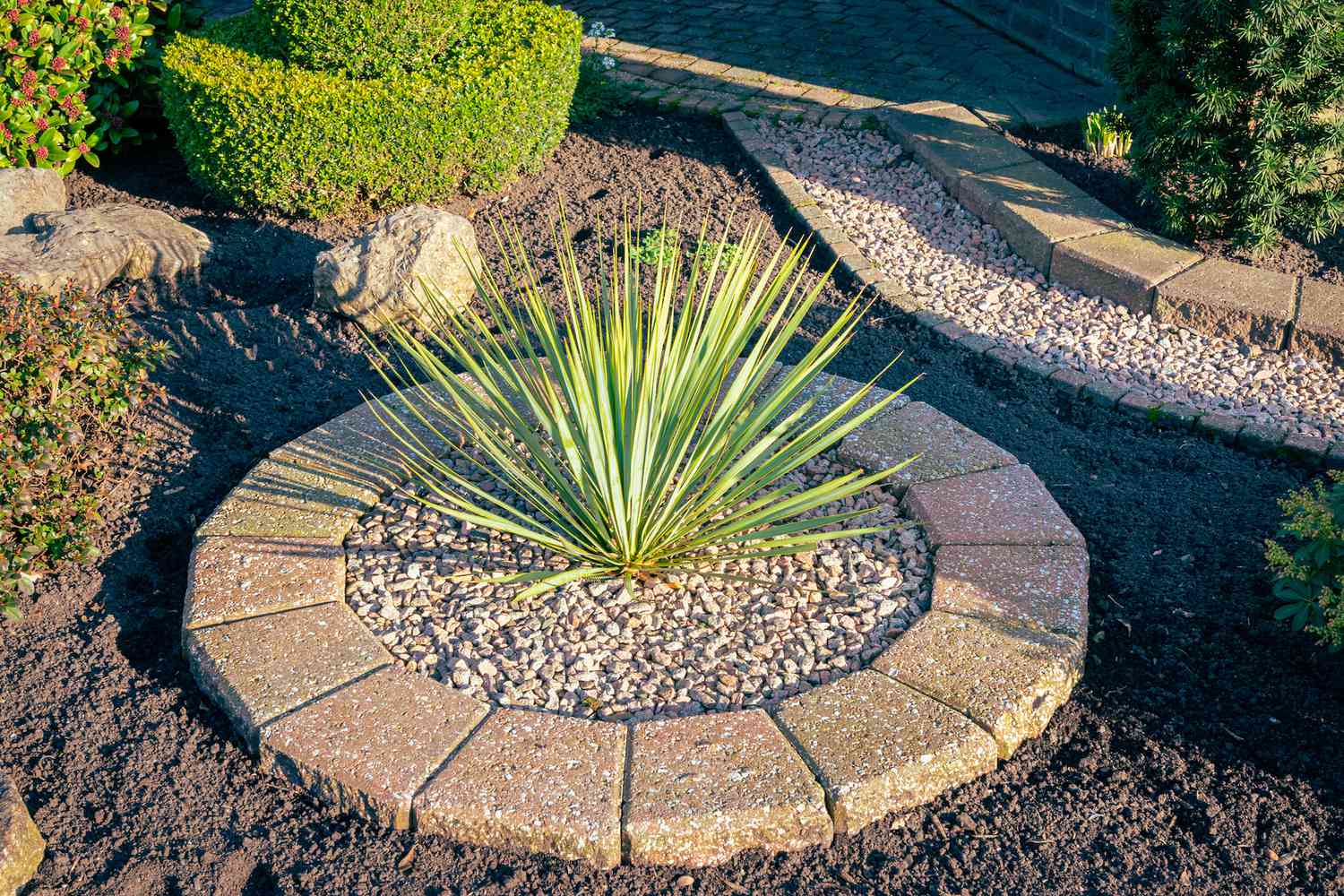 Runde Beeteinfassung mit Pflastersteinen und Kies um eine Yucca-Pflanze