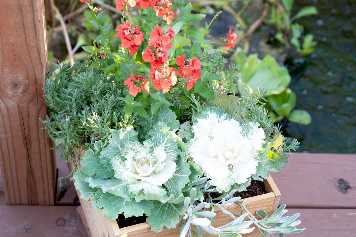 Choisir les plantes appropriées pour votre jardinière