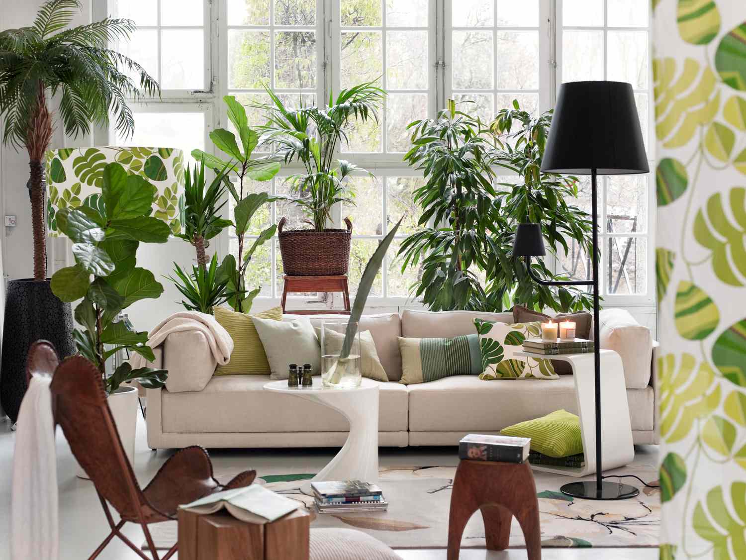 a plant filled room