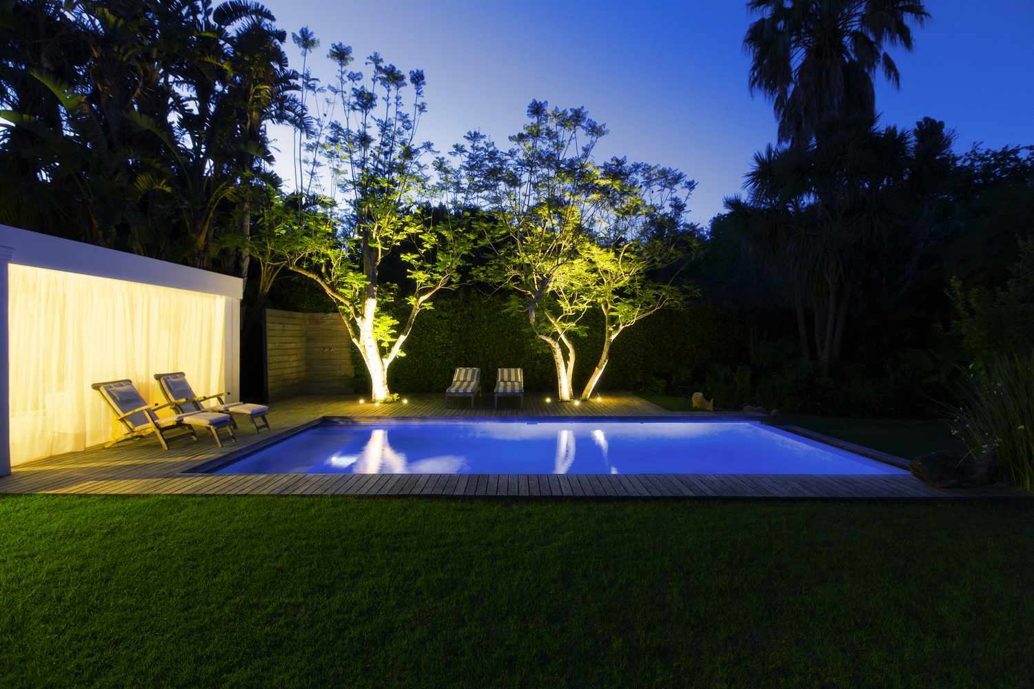 Piscina iluminada y árboles en el patio trasero al atardecer