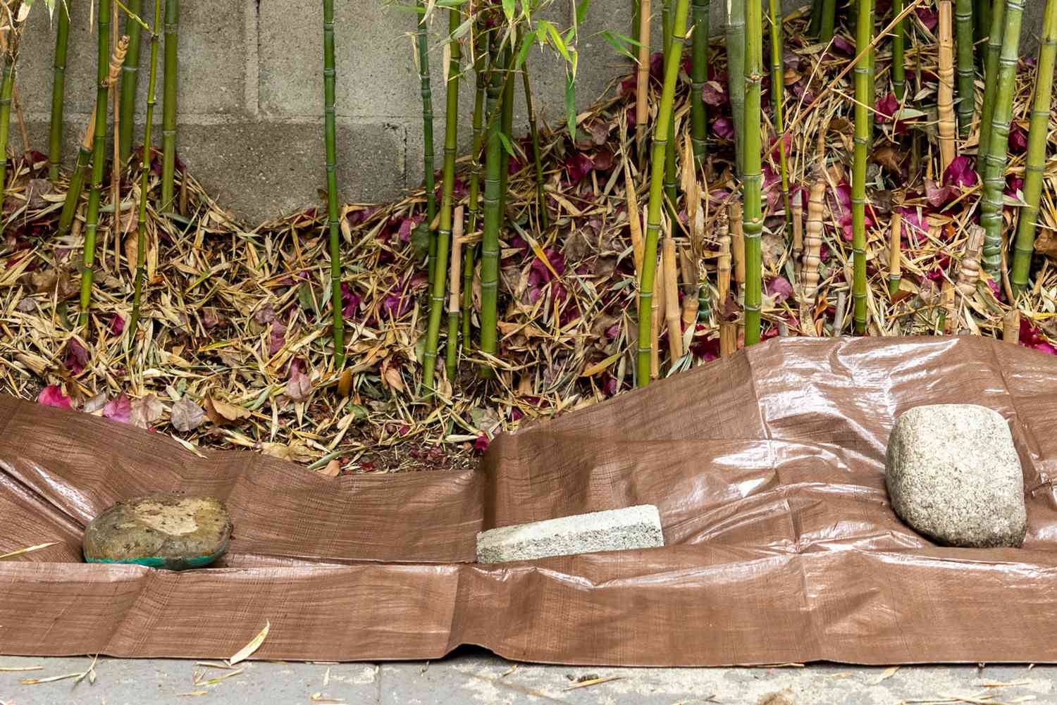 Brown tarps covering area of cut bamboo with rocks