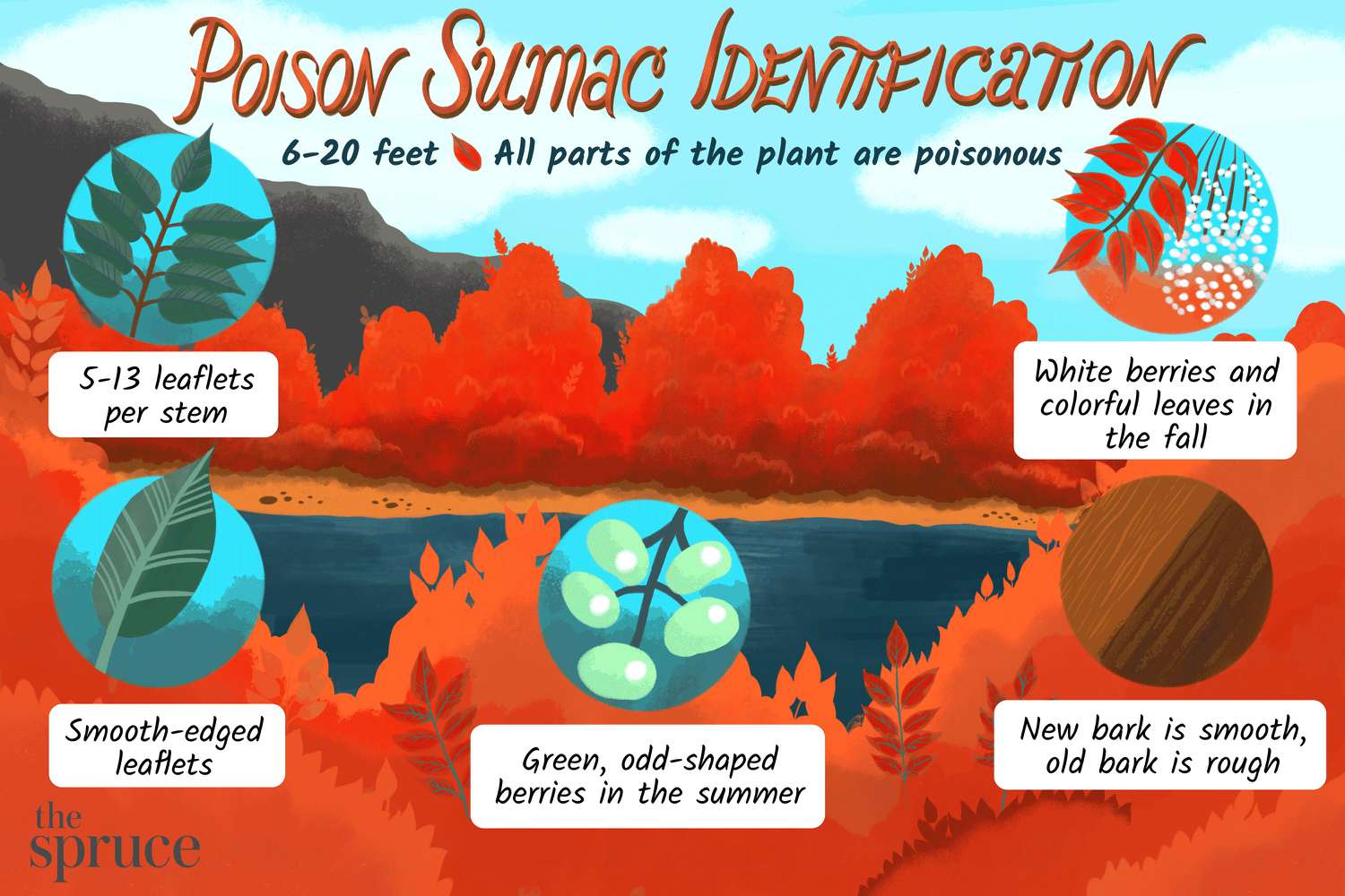 poison sumac