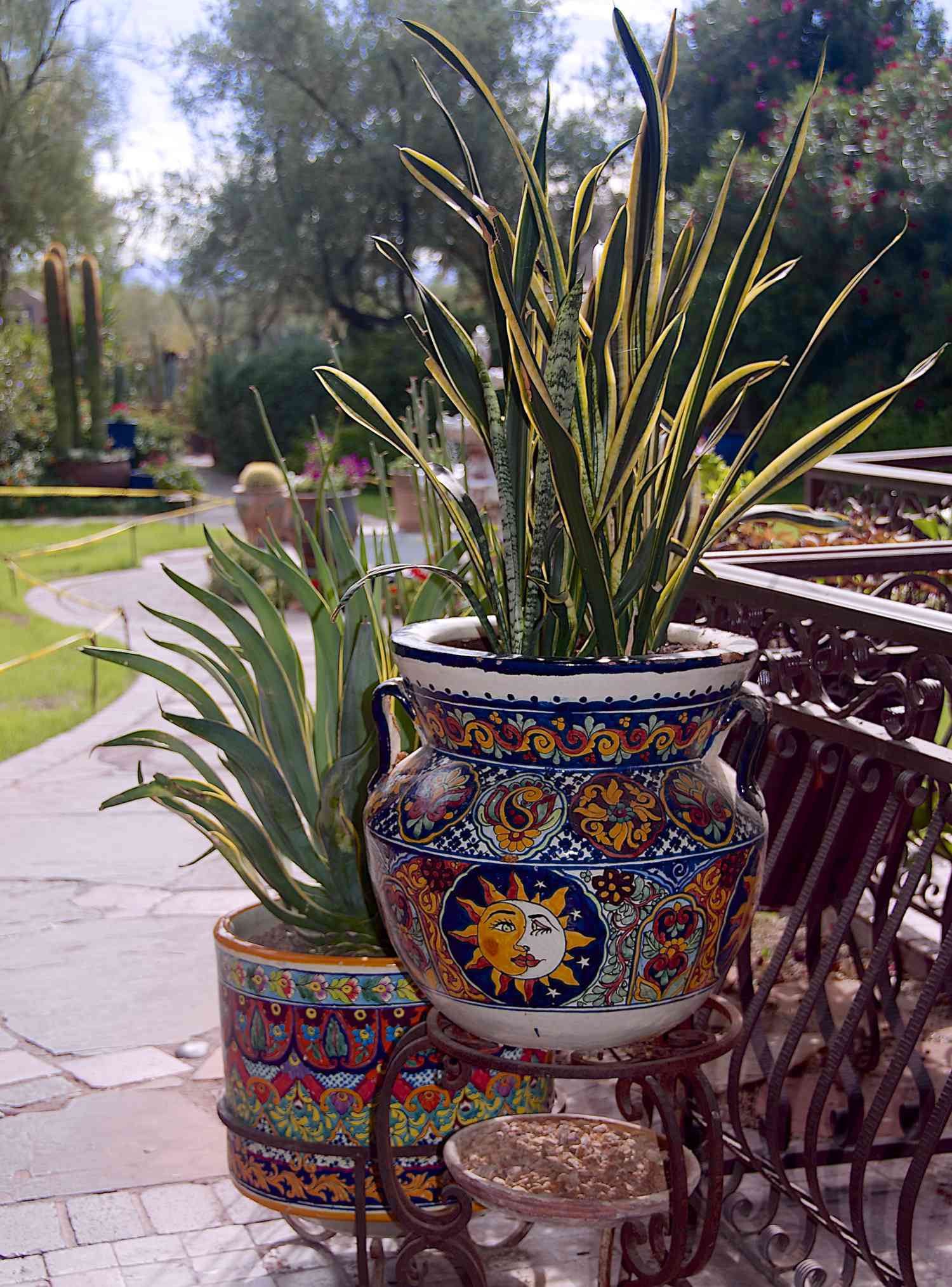 Macetas de jardín de colores