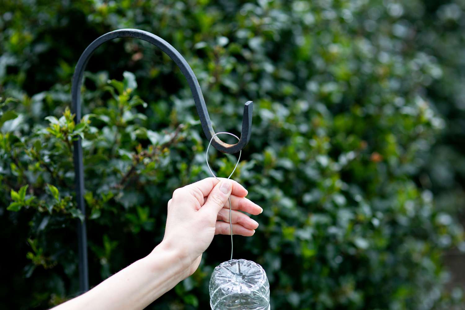 DIY hummingbird feeder being hum on metal rod