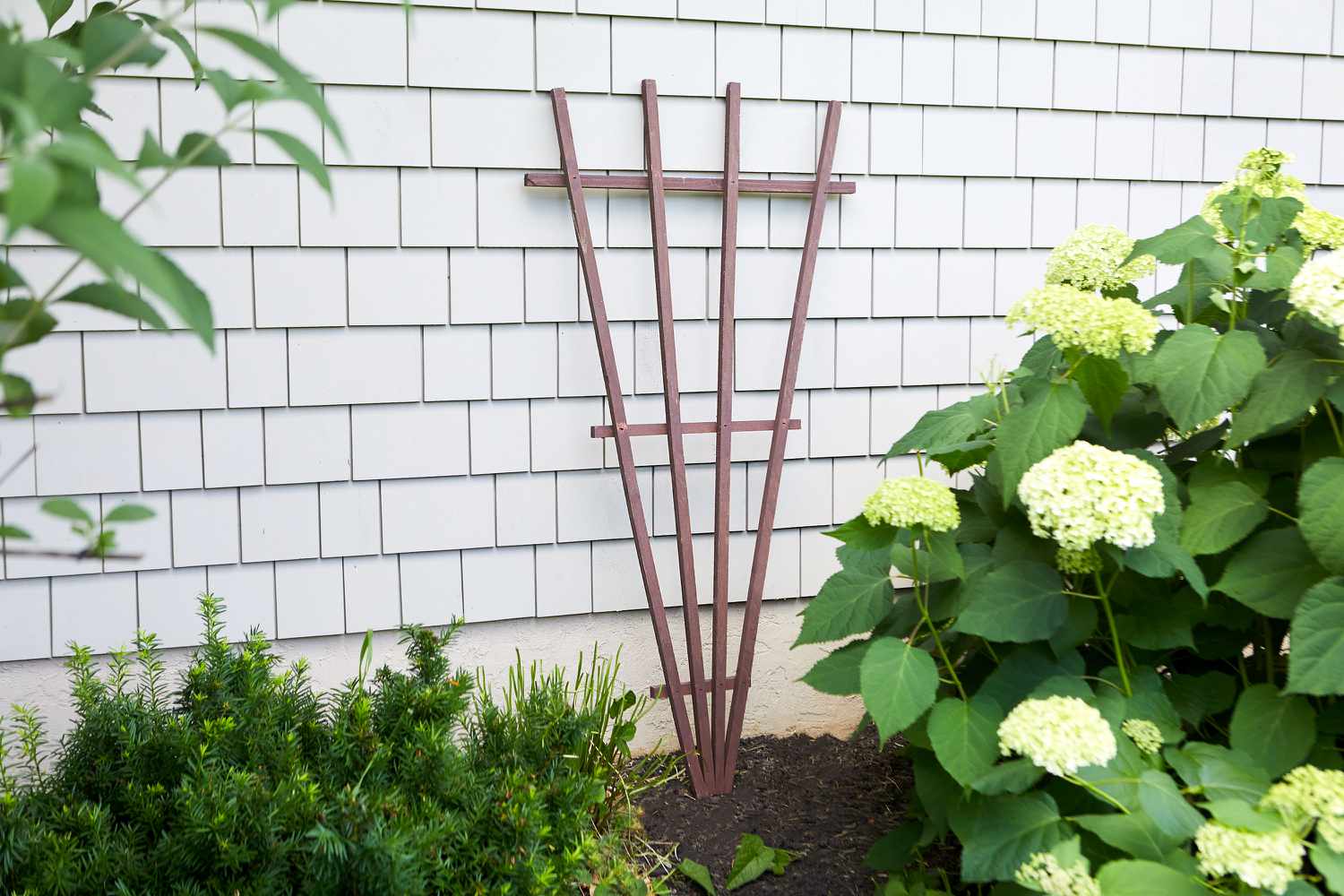 Treillis en bois placé dans un espace de jardin nu le long d'un mur blanc