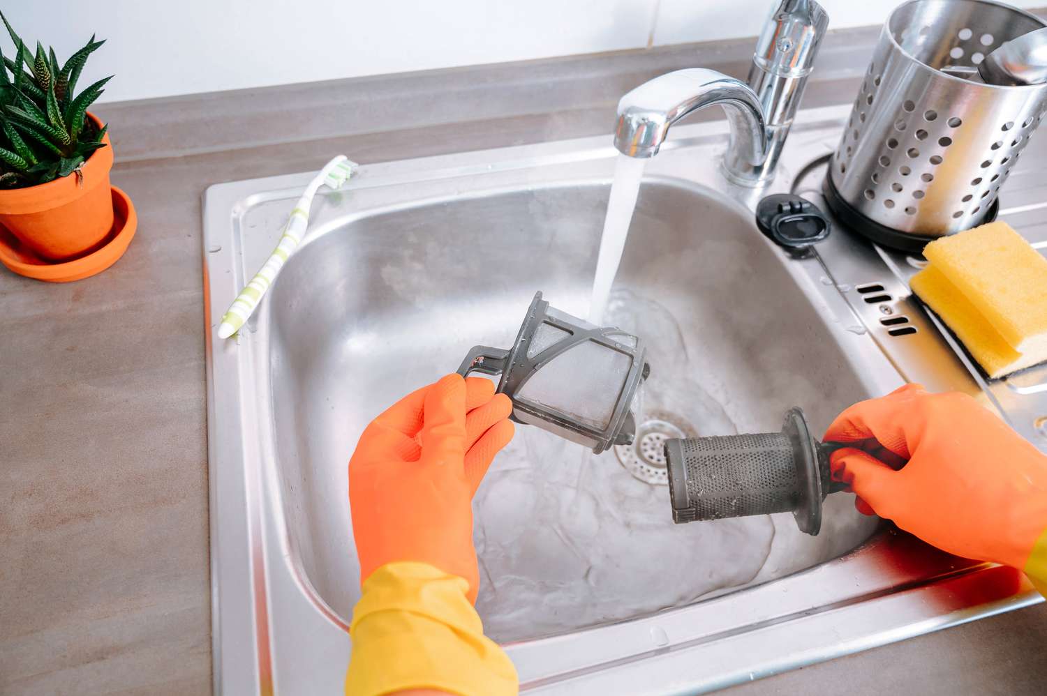 Dishwasher filter rinsed under running hot water from kitchen sink