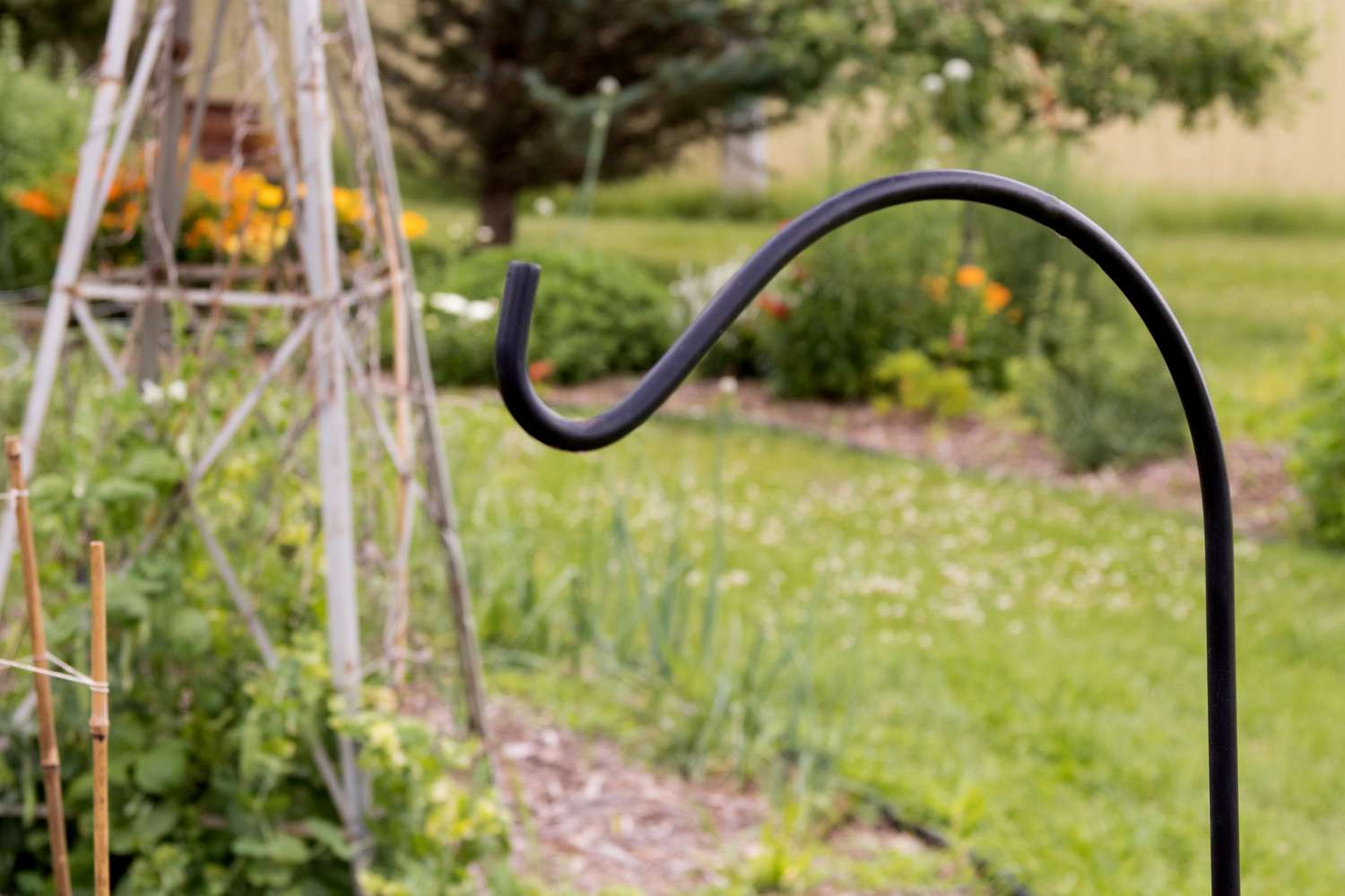 Schwarzer gebogener Gartenhaken für hängende Futterstelle im Kolibri-Garten