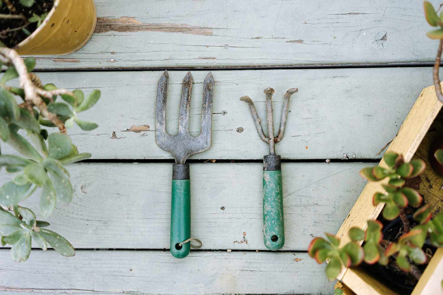Cómo limpiar las herramientas de jardinería