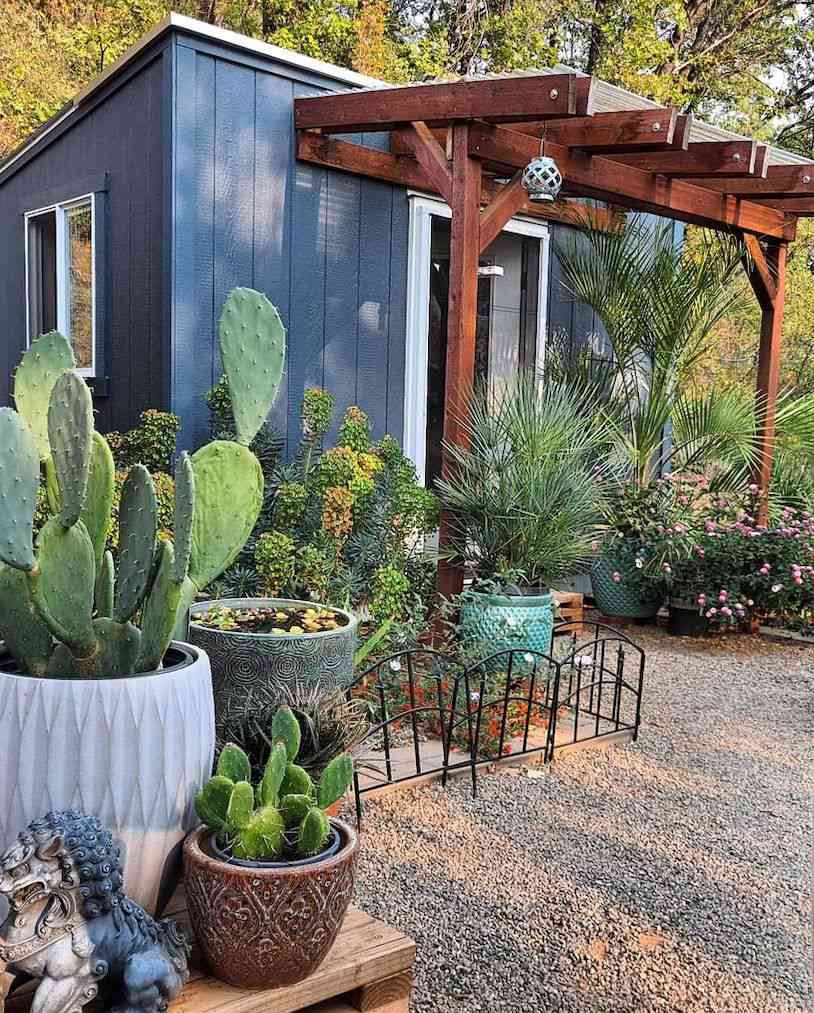 casa pequena com caramanchão e vasos variados com plantas do deserto