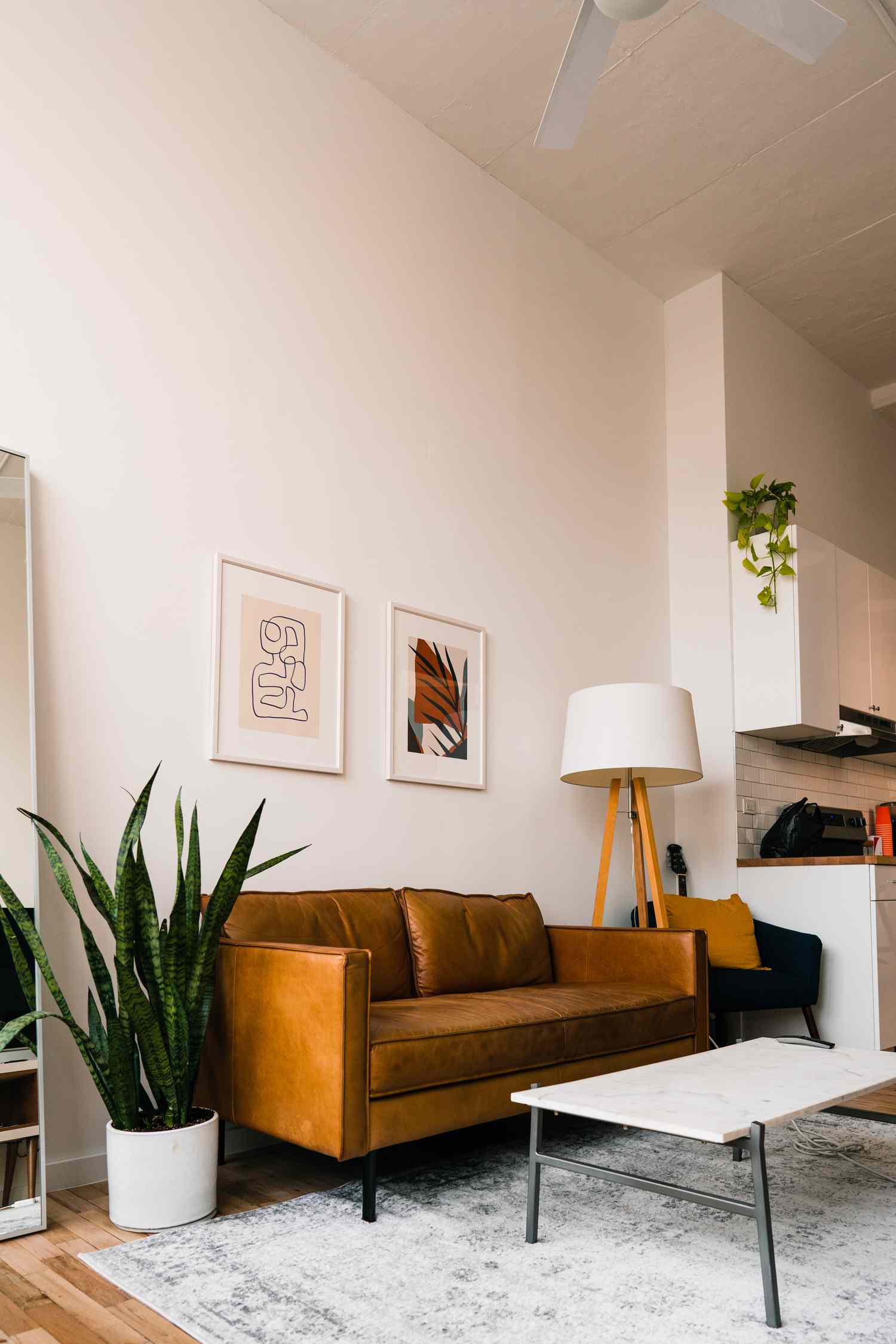 Salon avec canapé en cuir, plante et œuvre d'art