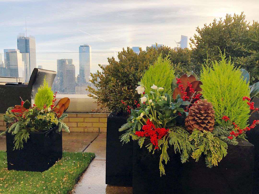 Eine weihnachtlich inspirierte Pflanzschale auf einem städtischen Dach.