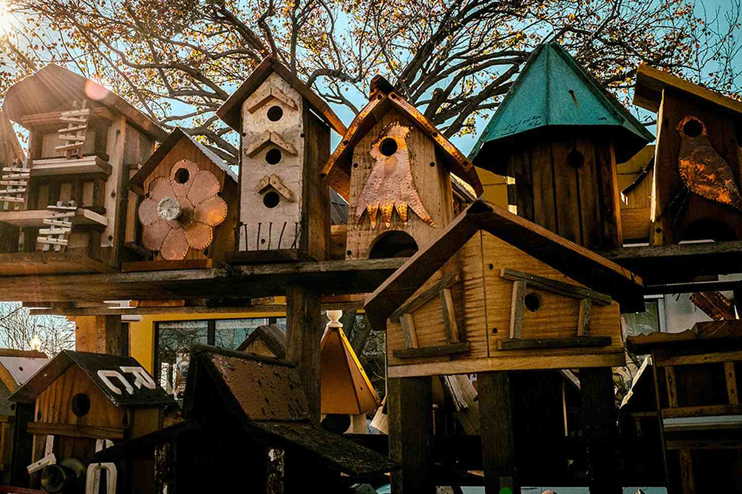 Unique Birdhouses