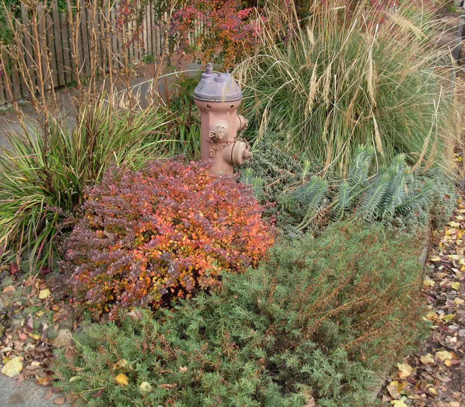 Feuerhydrant Garten