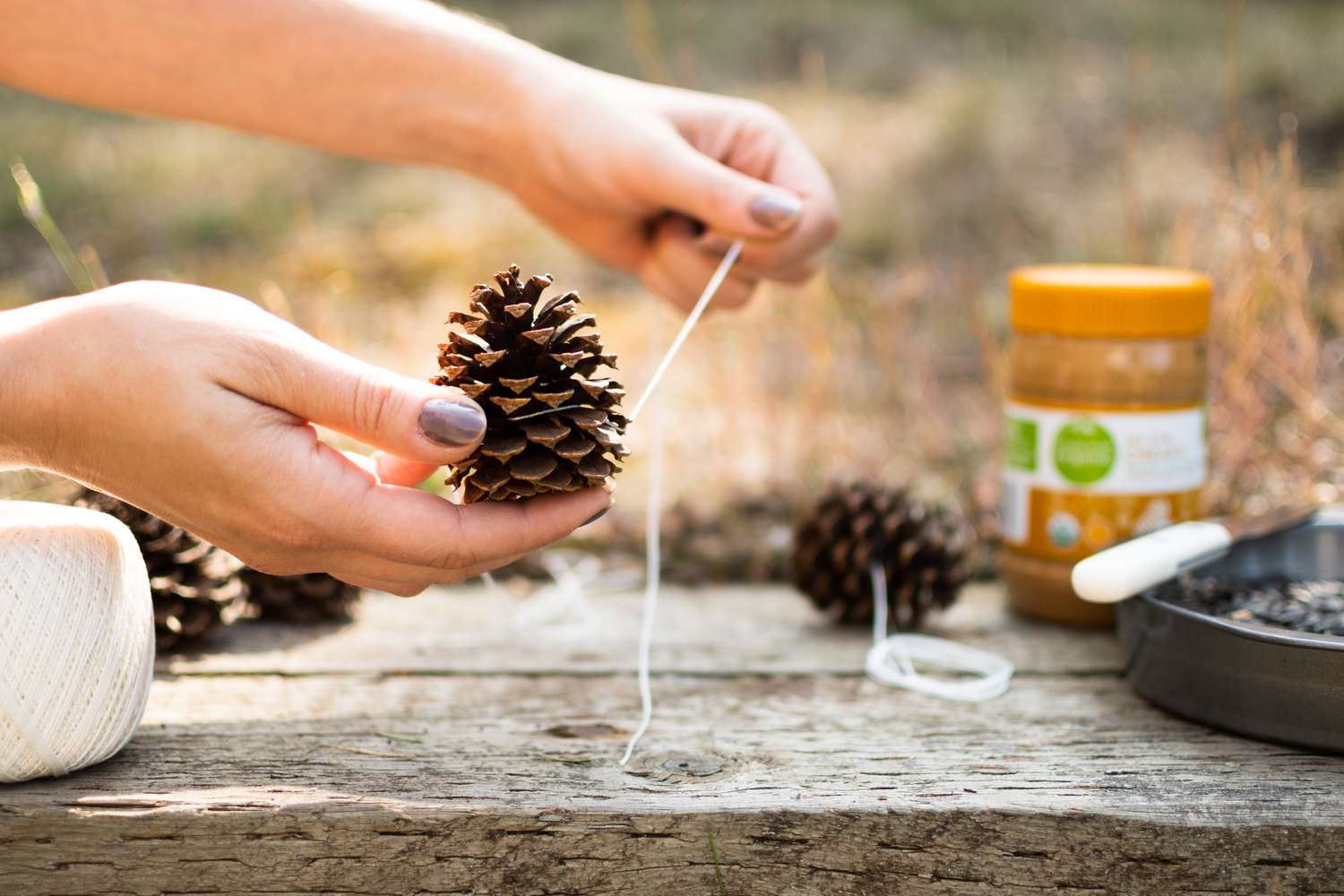 White string being wrapped around pine cone for diy bird feeder