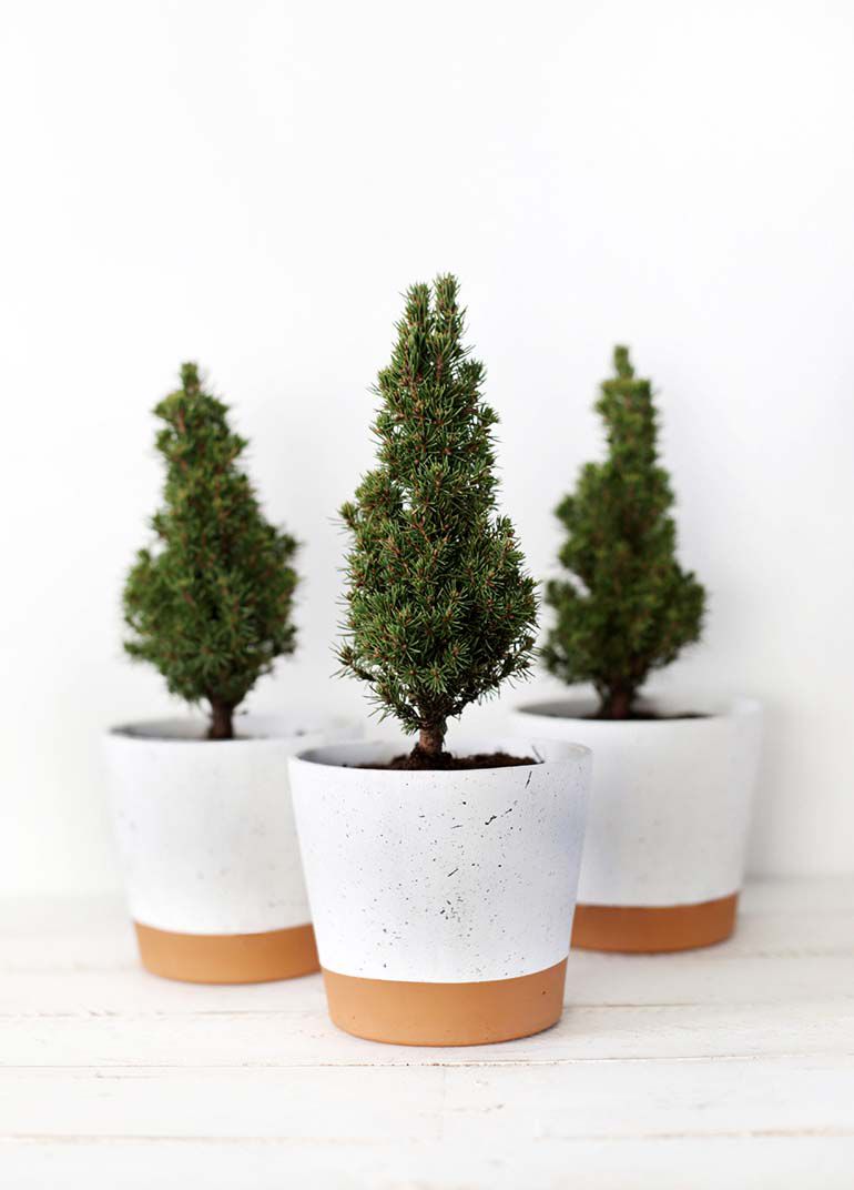 Paint splattered pots with tiny trees