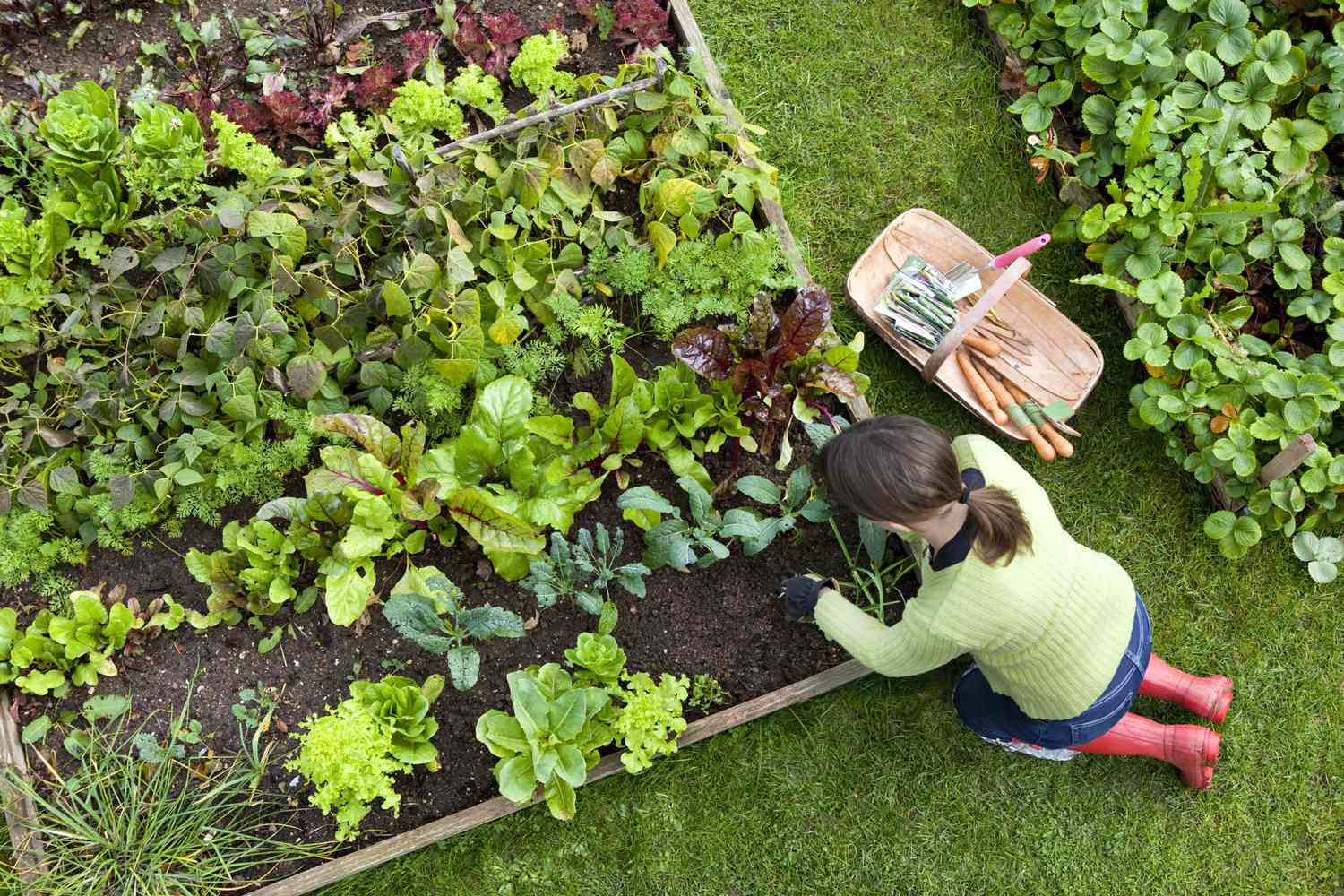 woman works in garden
