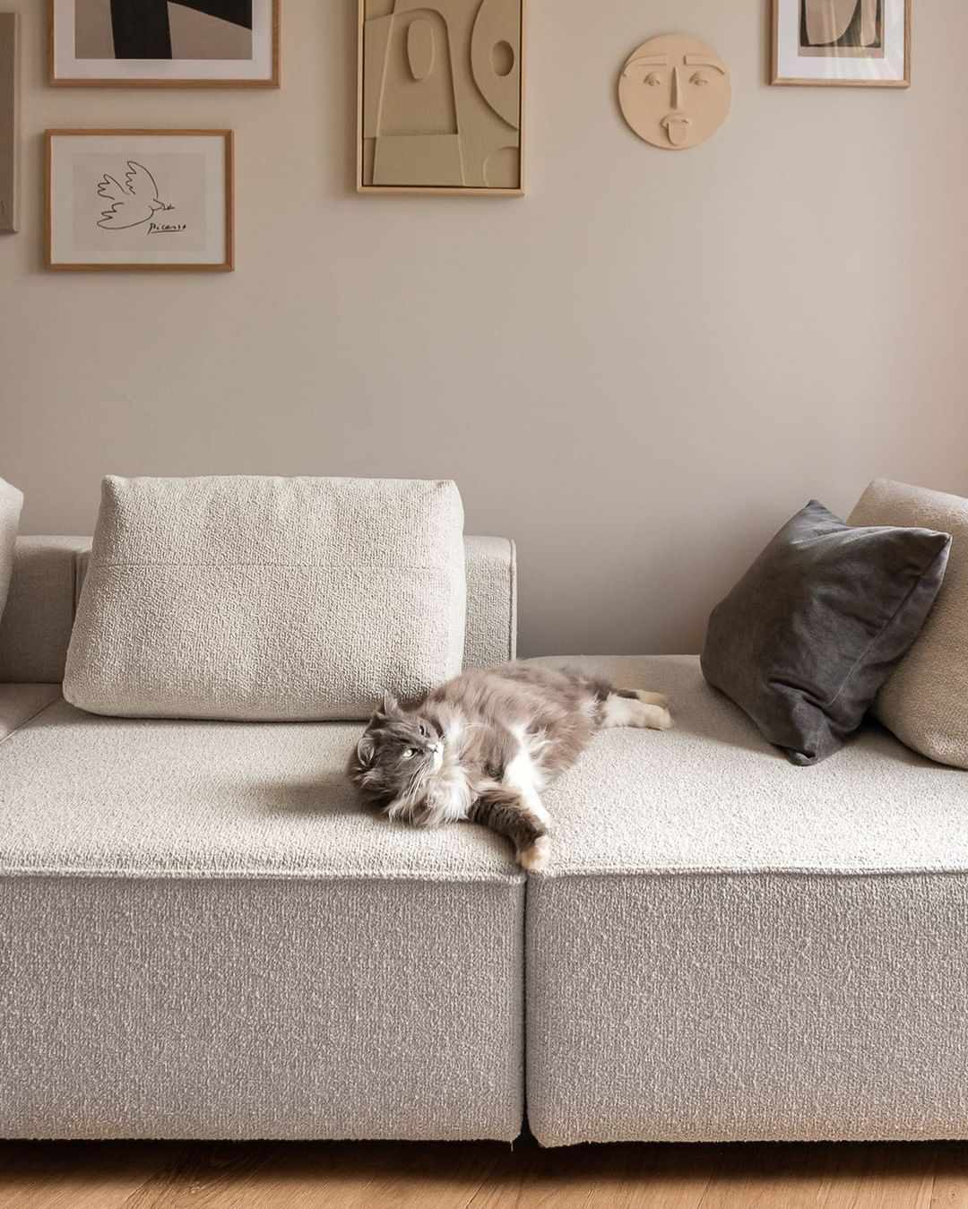 Boucle-Sofa mit Katze darauf