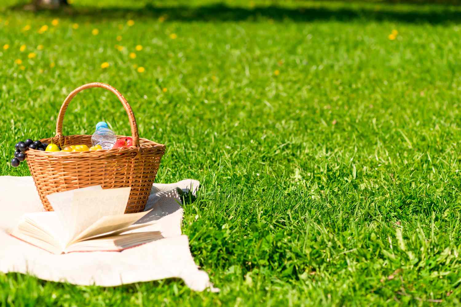 Osterkorb auf Picknickdecke mit Essen und Wasserflasche