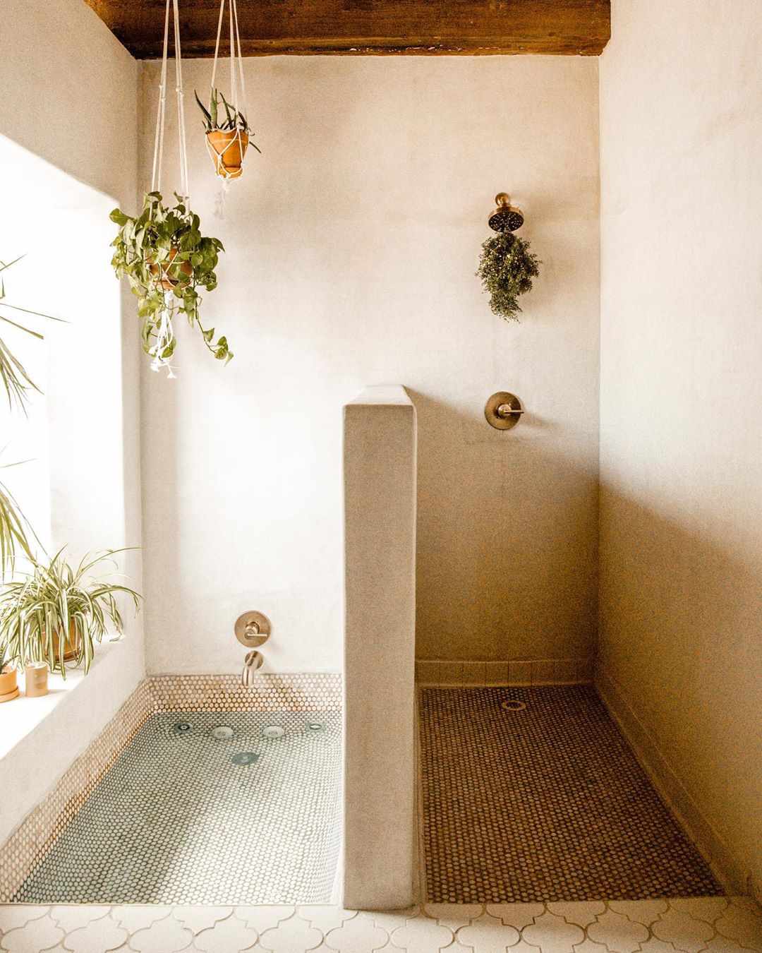 Badezimmer mit begehbarer Dusche und Hängepflanzen