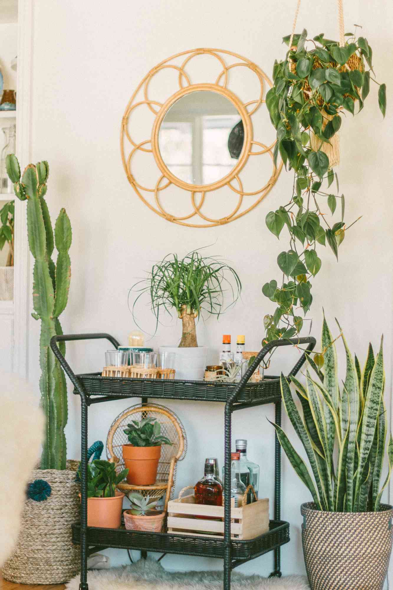 bar cart mirror wall