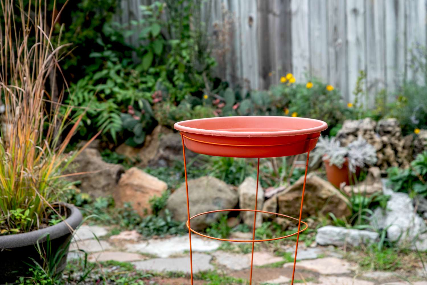 DIY-Vogelbad aus Metall-Tomatenkäfigständer und Tontopfschale