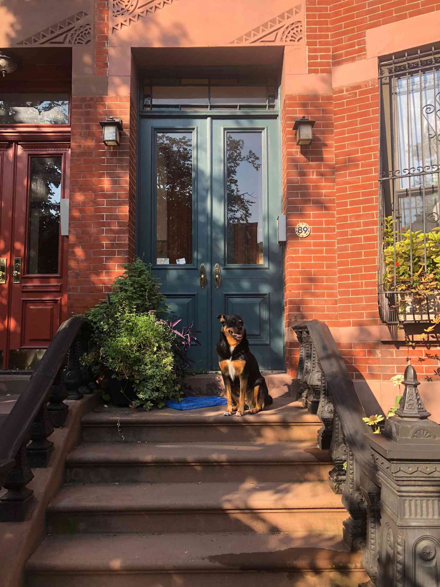 Amy Williams home tour exterior