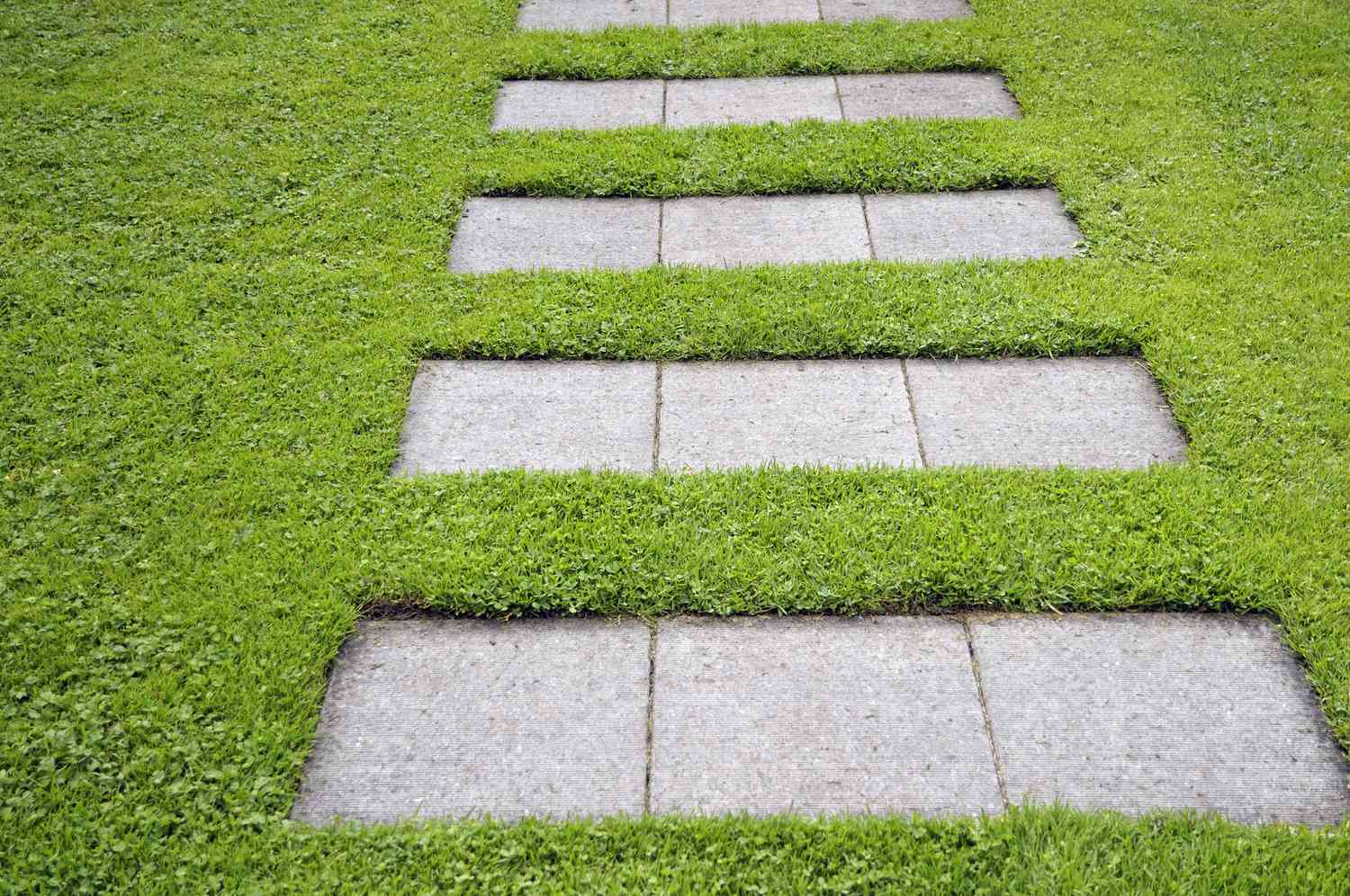 Paseo de piedra realizado en tramos de tres interrumpidos por césped.