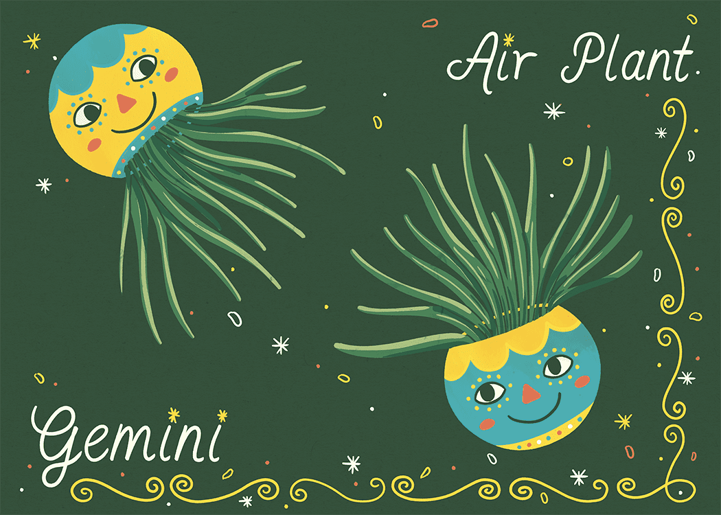 ilustração da planta de ar gemini