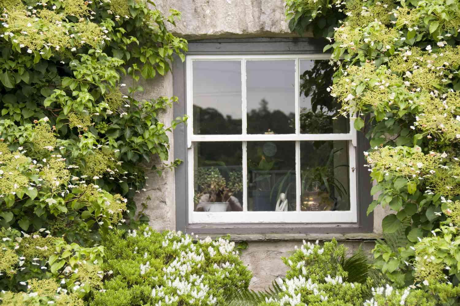 Double Hung Sash Window