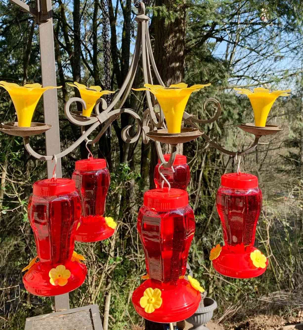 A chandelier with hummingbird feeders