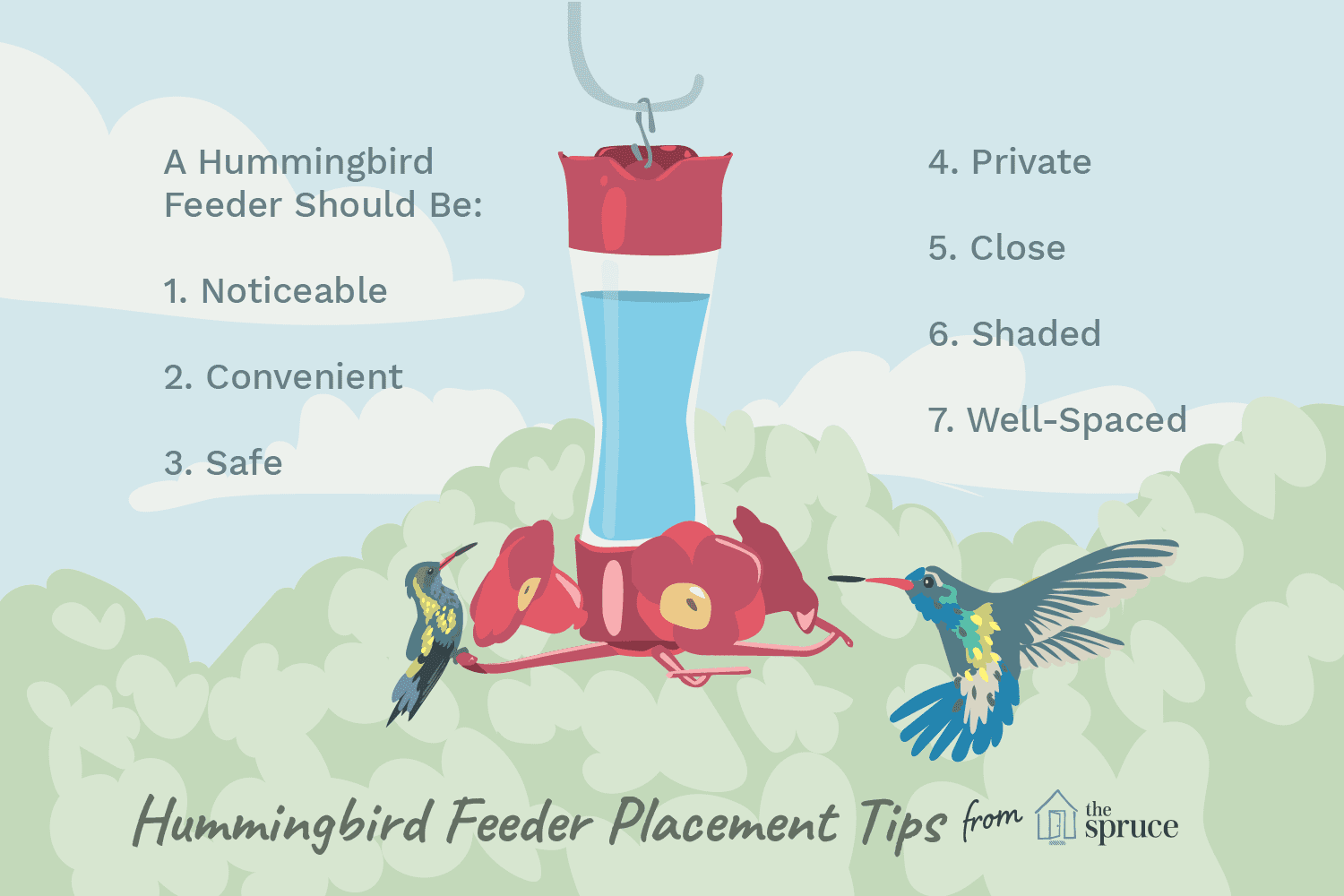 Imagen ilustrada de consejos de colocación de comederos para colibríes.
