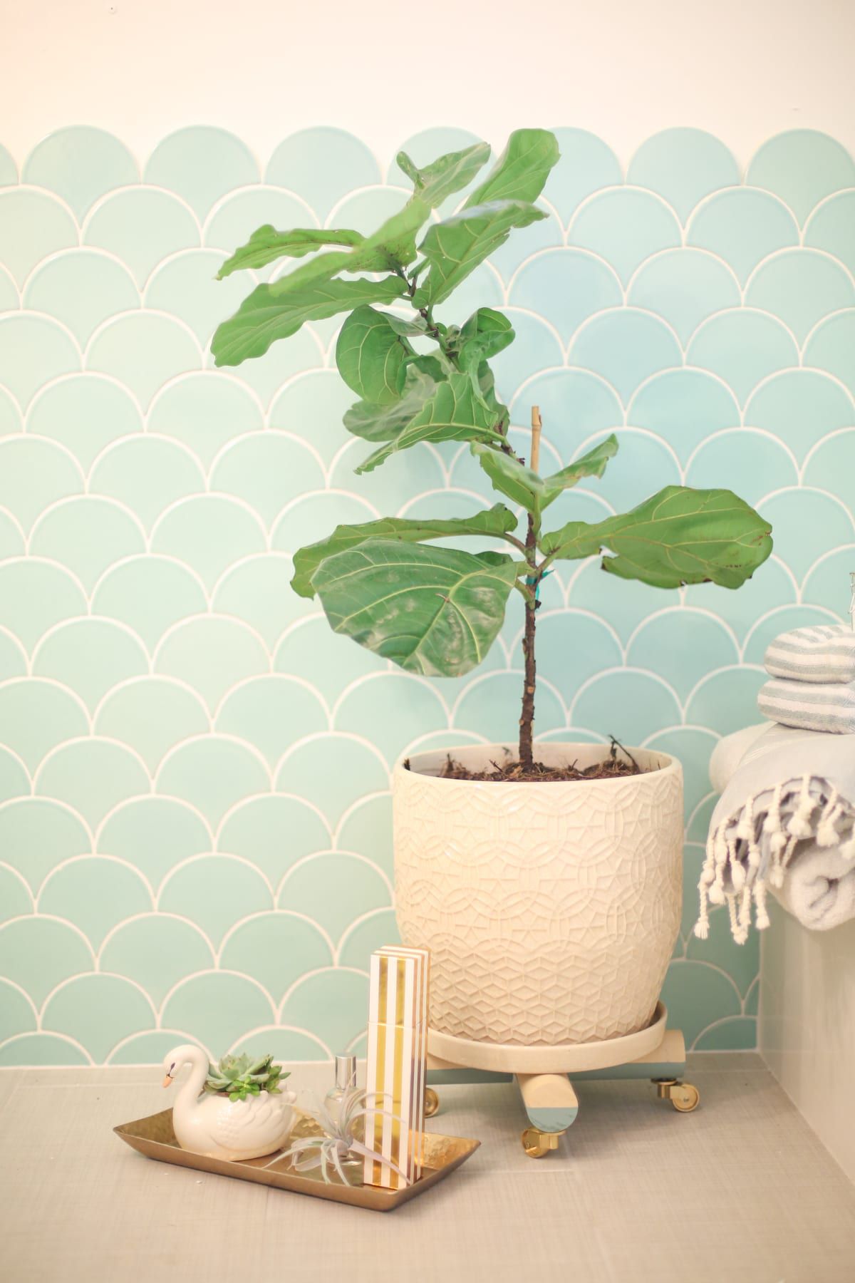 A green sprout in a white plant stand on wheels.