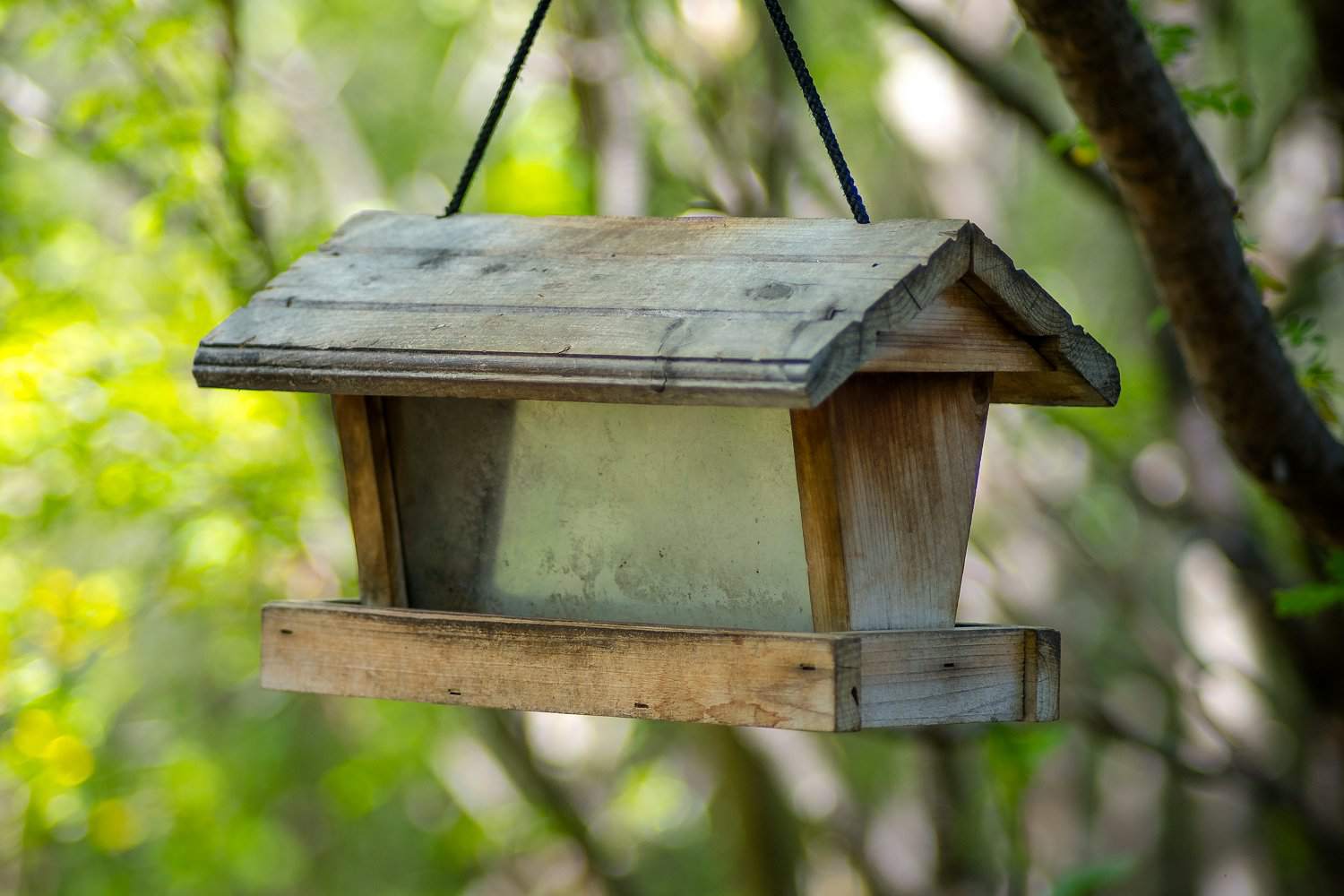 Alimentador de pássaros de madeira vazio