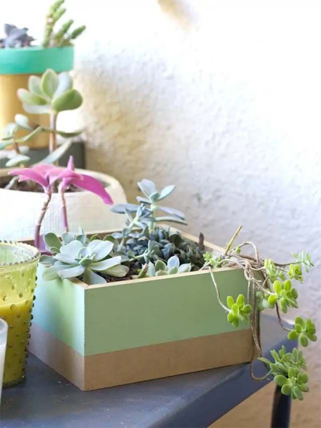 A green and brown box planter