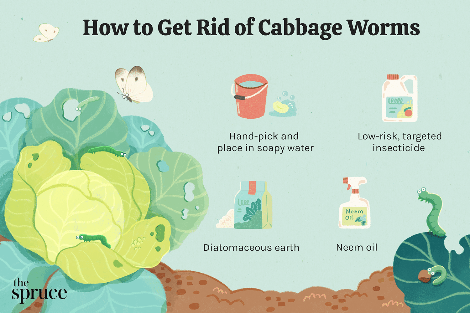 How to get rid of cabbage worms