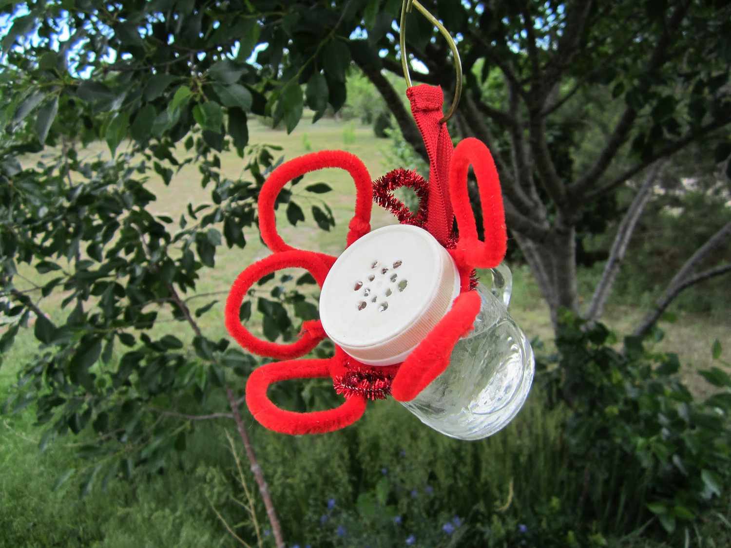 A small hummingbird feeder hanging from a tree