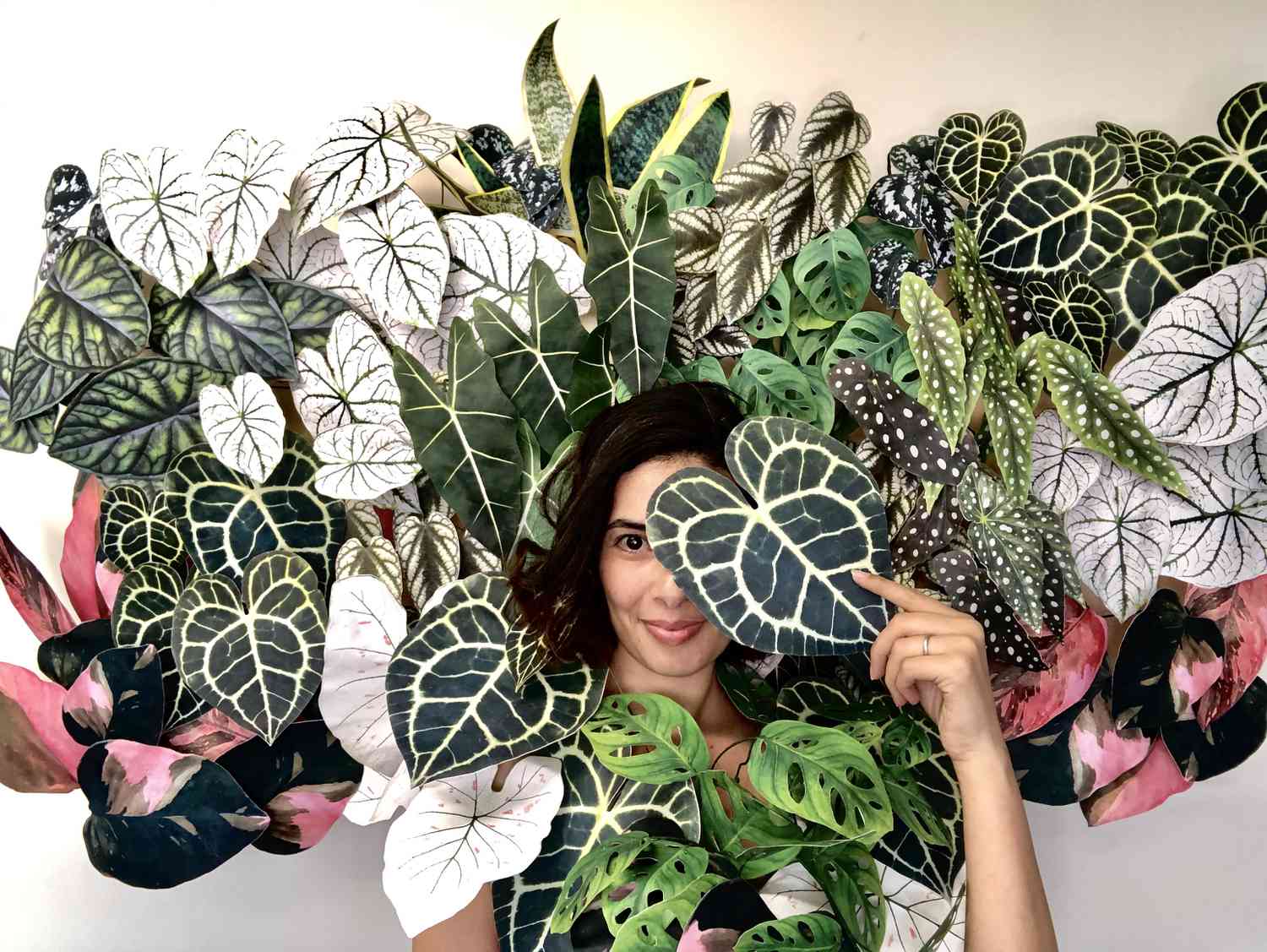 Paper Plants by Sophie Courtney
