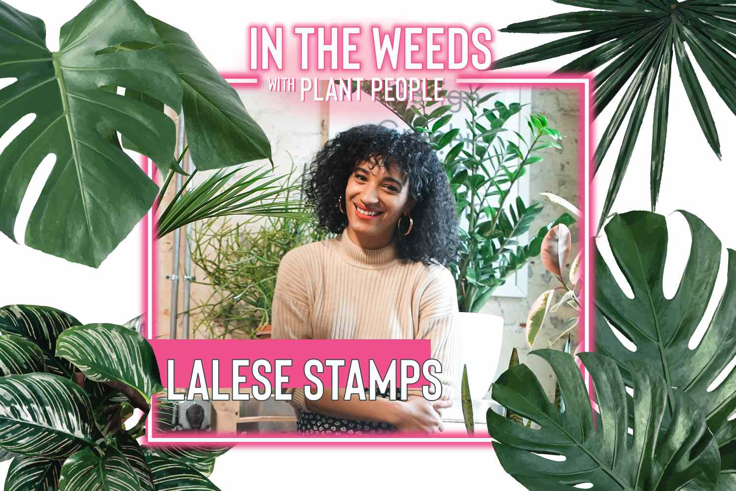 Lalese Stamps, créateur de céramiques, pour In the Weeds With Plant People