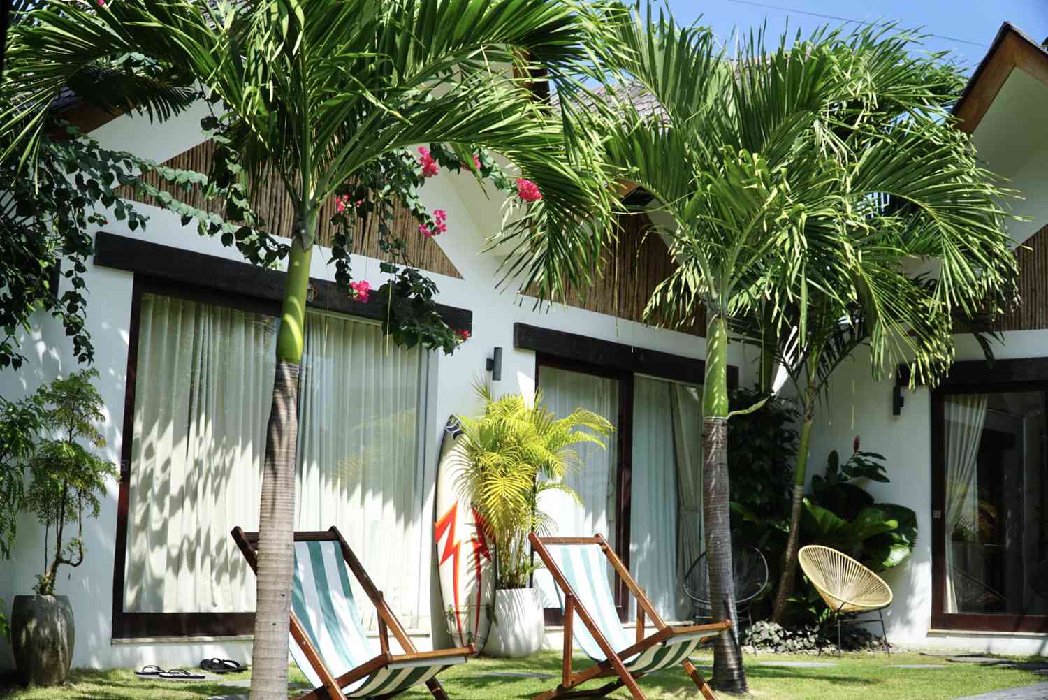 Pinnate palm trees outside of white house next to lounge chairs