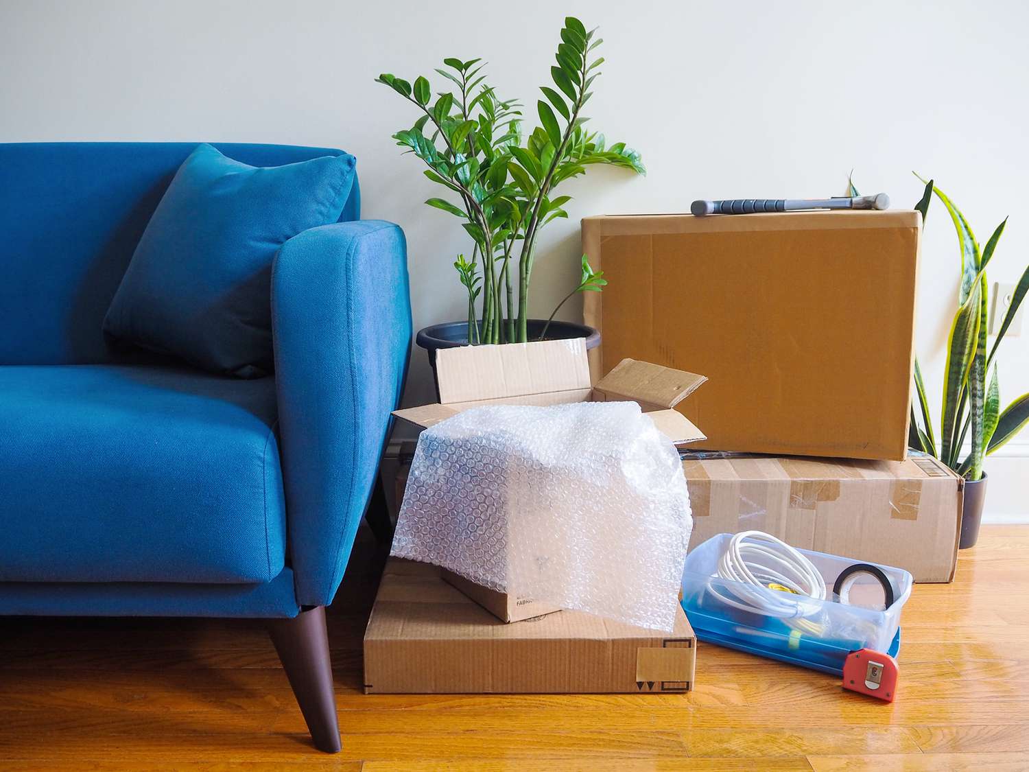Sofá azul ao lado de caixas de mudança, plantas domésticas e ferragens 