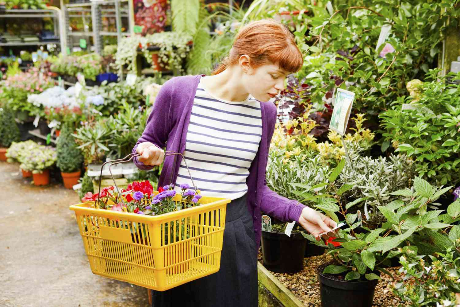 Junge Frau prüft Etikett auf Pflanze in Gartencenter