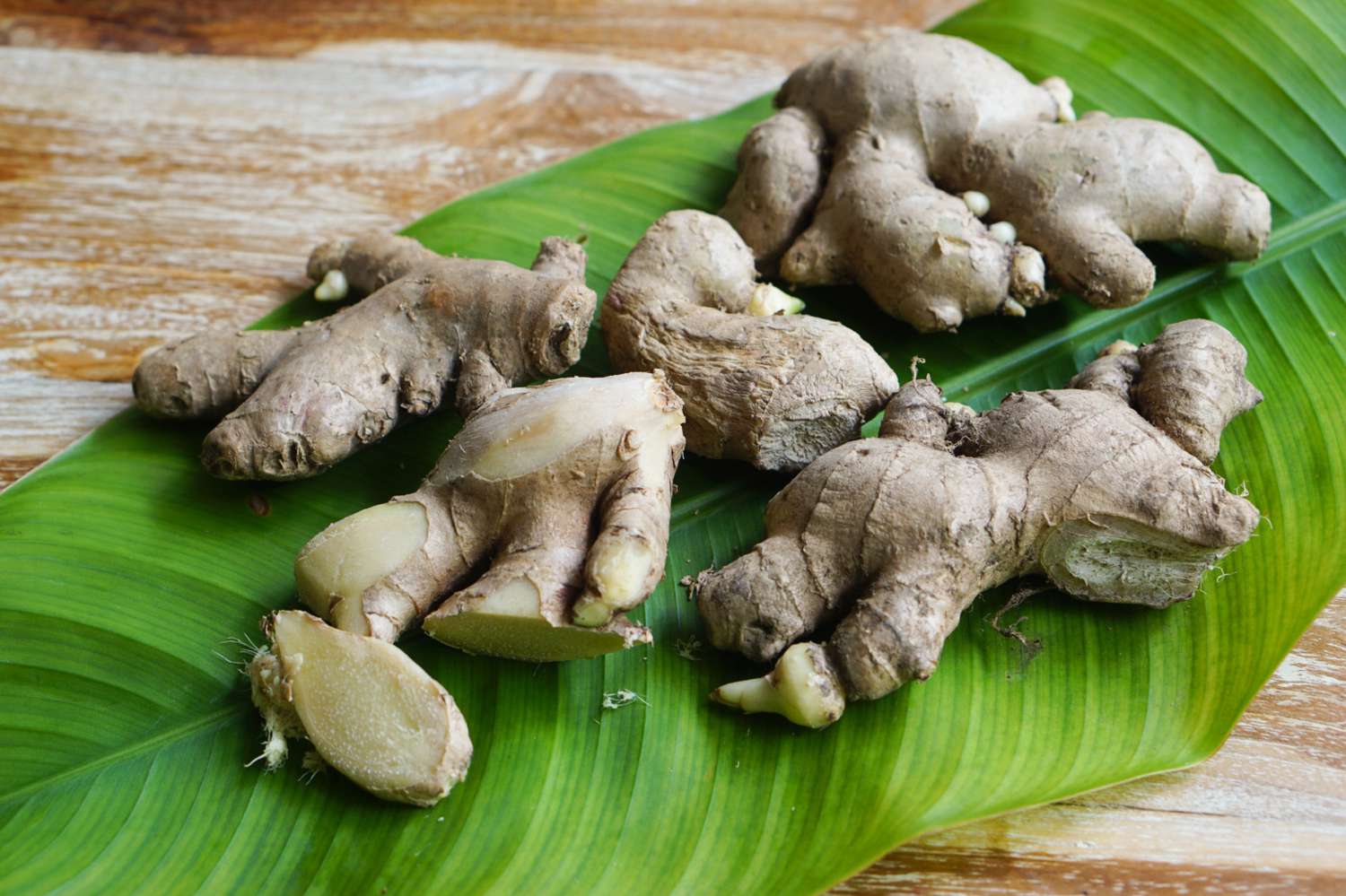Ginger roots laid next to each on large leaf