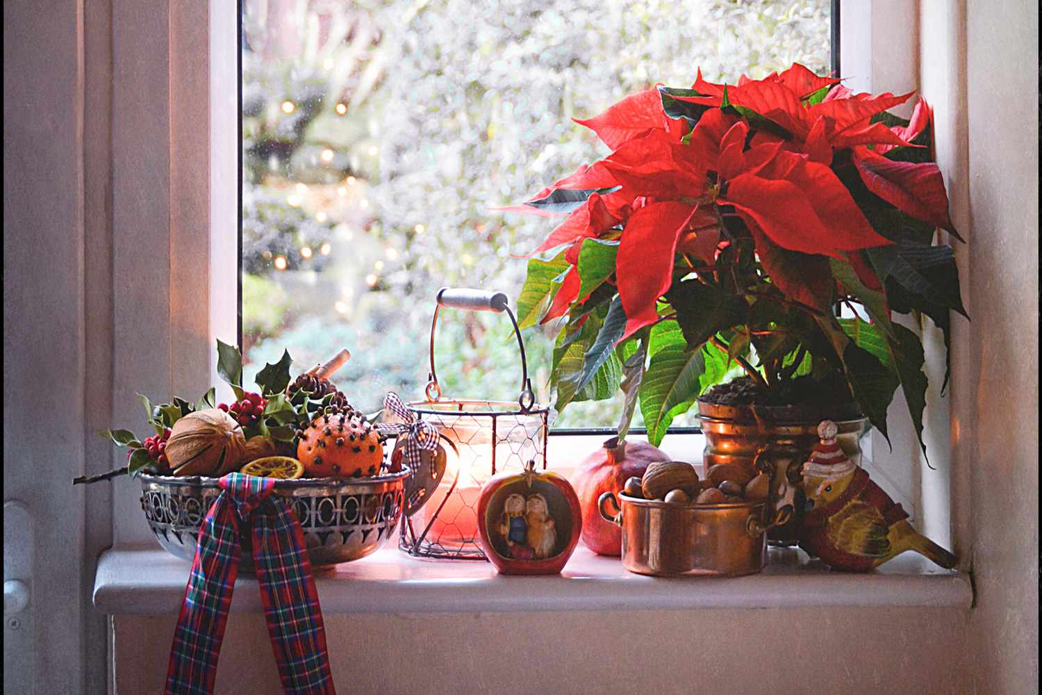 weihnachtsstern weihnachten